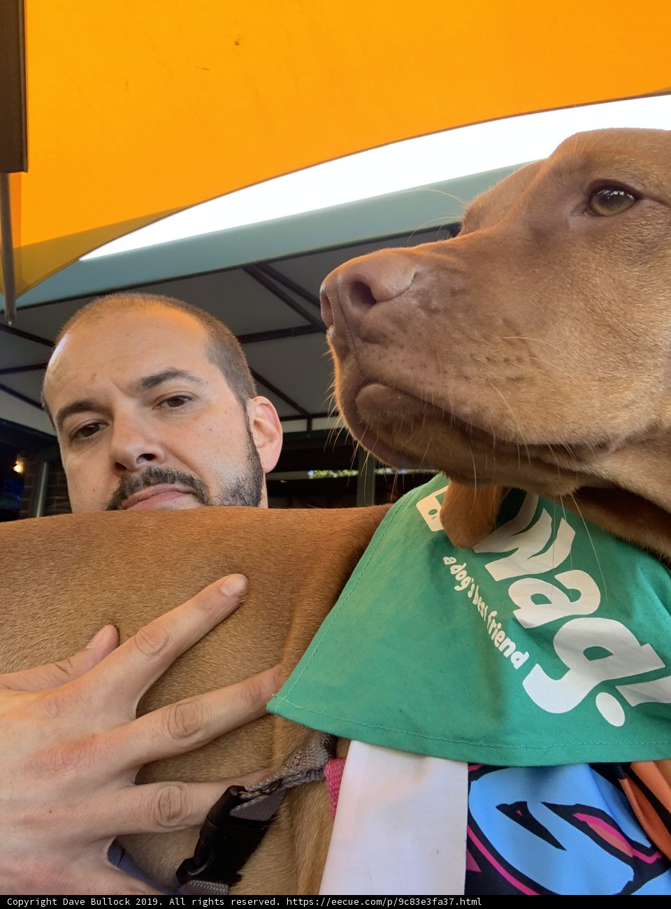 Man and His Best Friend