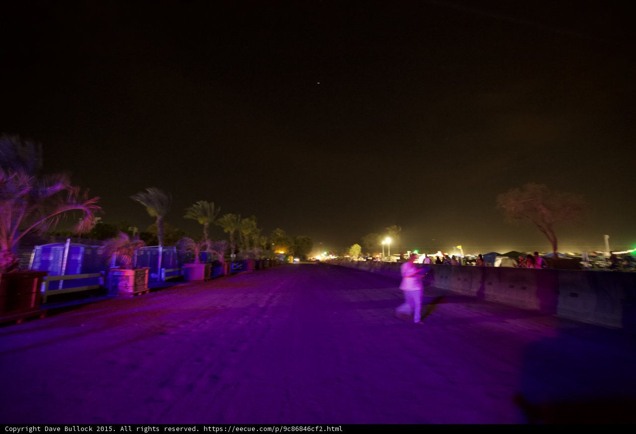 Purple Lit Path