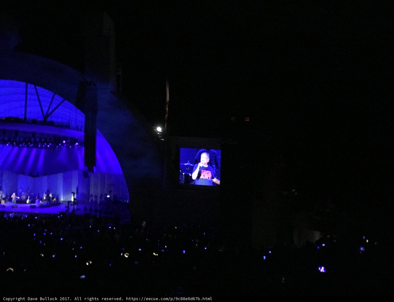 Lighting up the Night Sky with Cinematic Concert