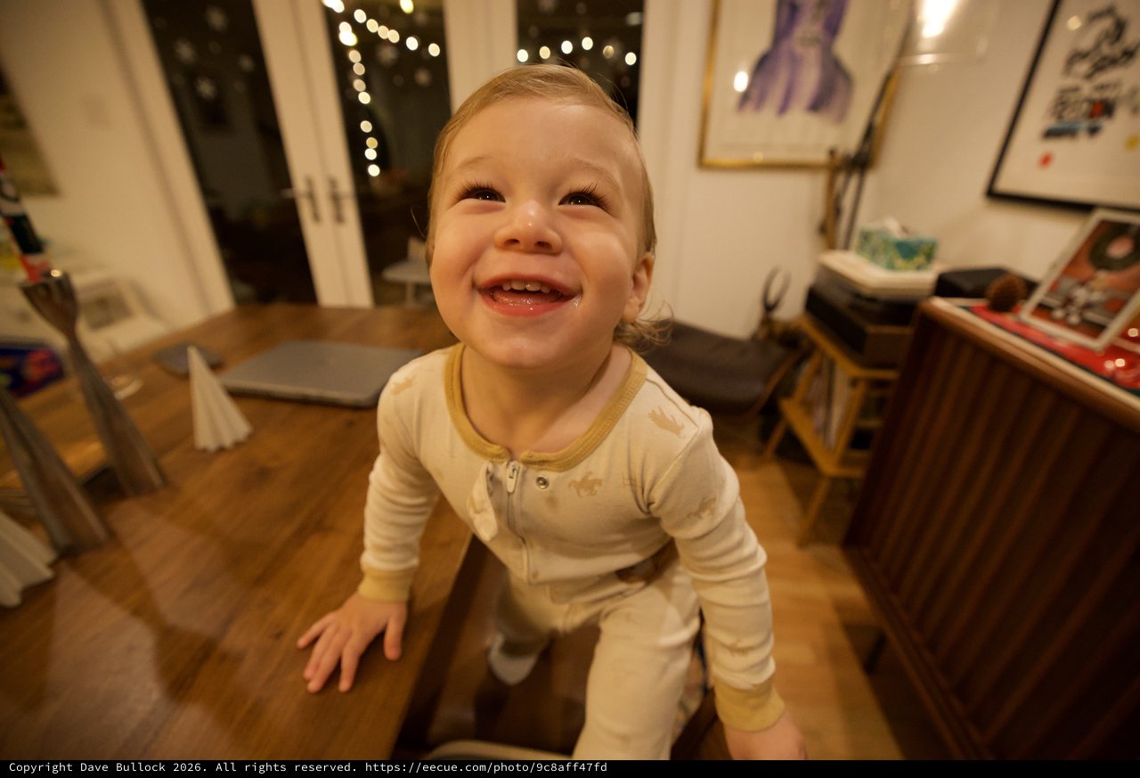 Joyful Toddler's Delighted Expression at Home