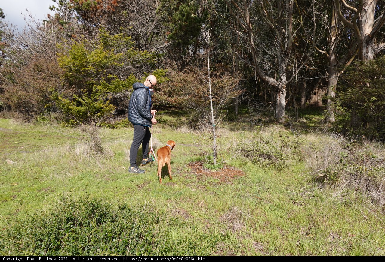 A Man and his Canine Companion Explore the Fields