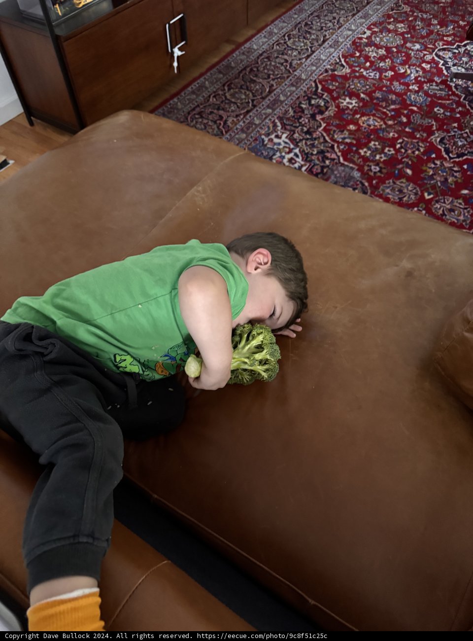 Cozy Moments with Broccoli