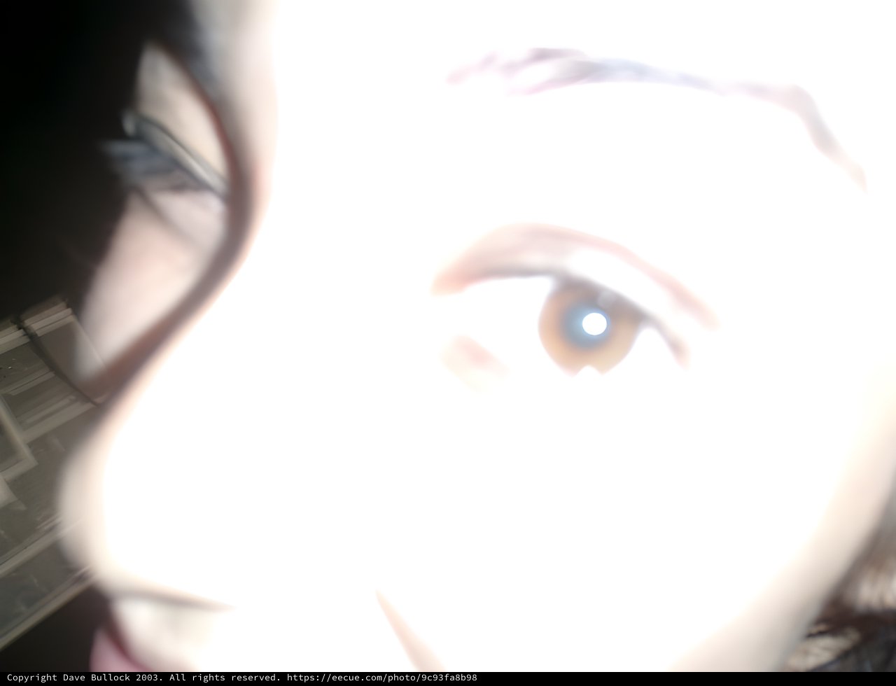 Overexposed Close-up Portrait with Intense Flash