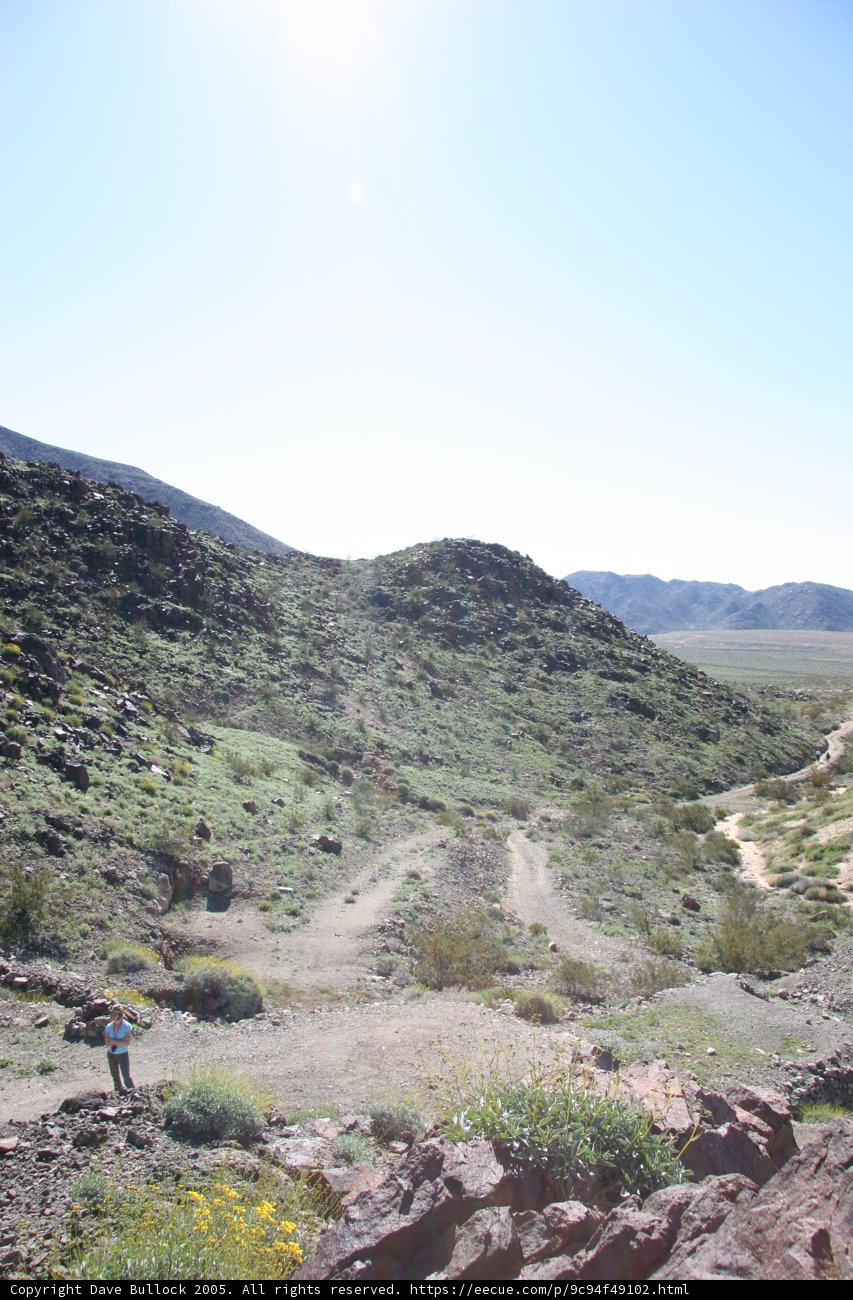 Walking through the Wilderness