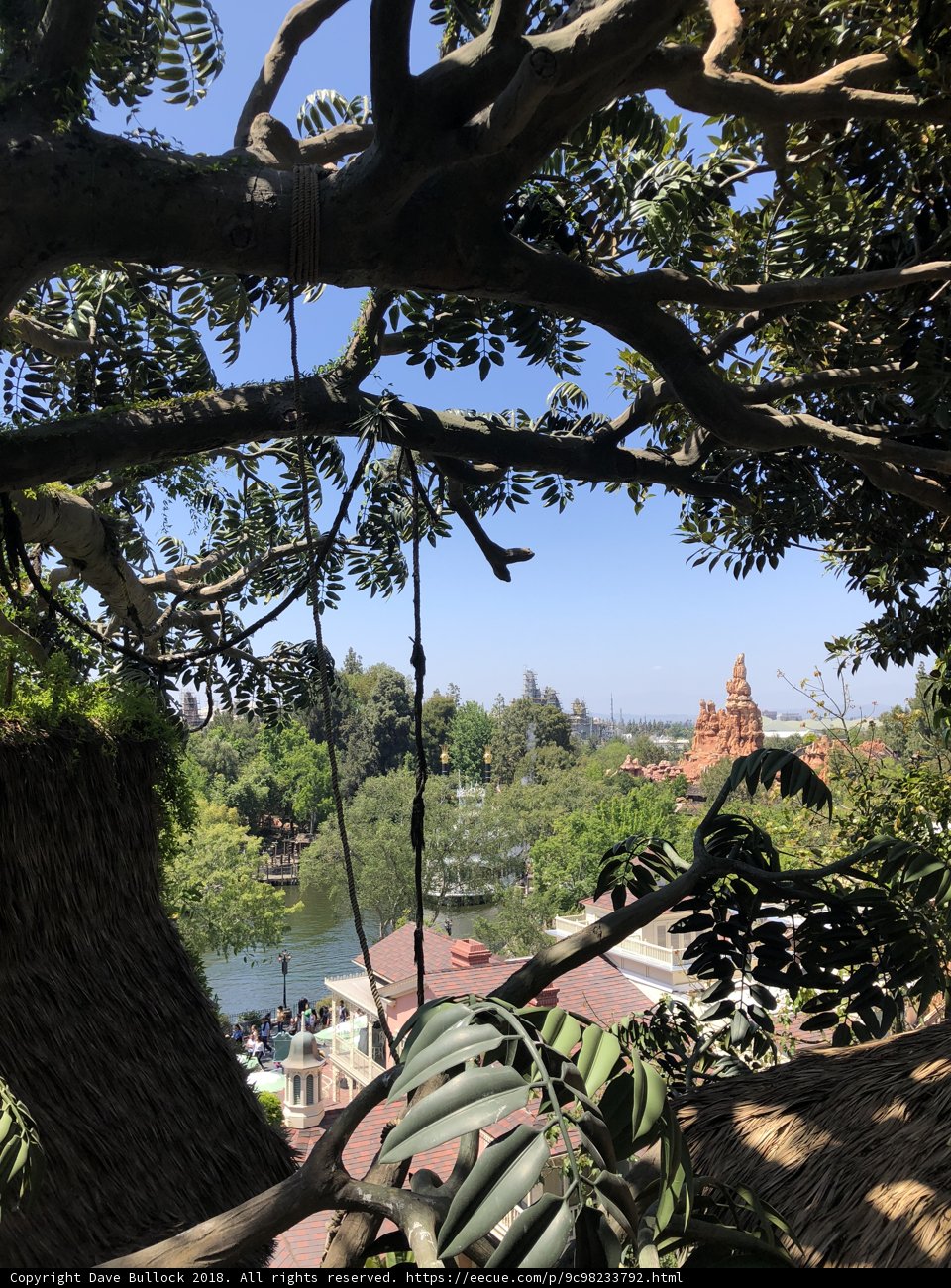 Majestic Tree Under a Vibrant Blue Sky