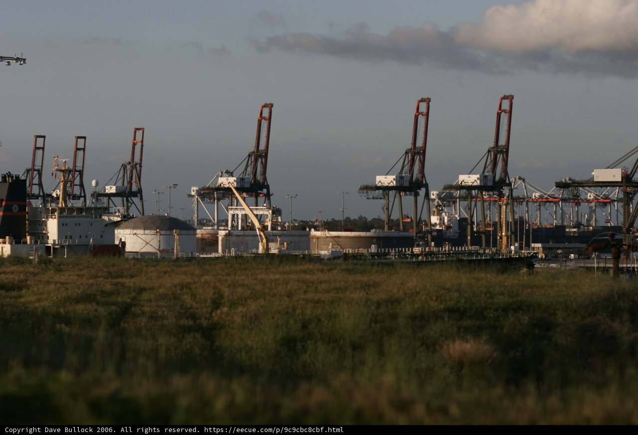 Serene Grassland by the Waterfront