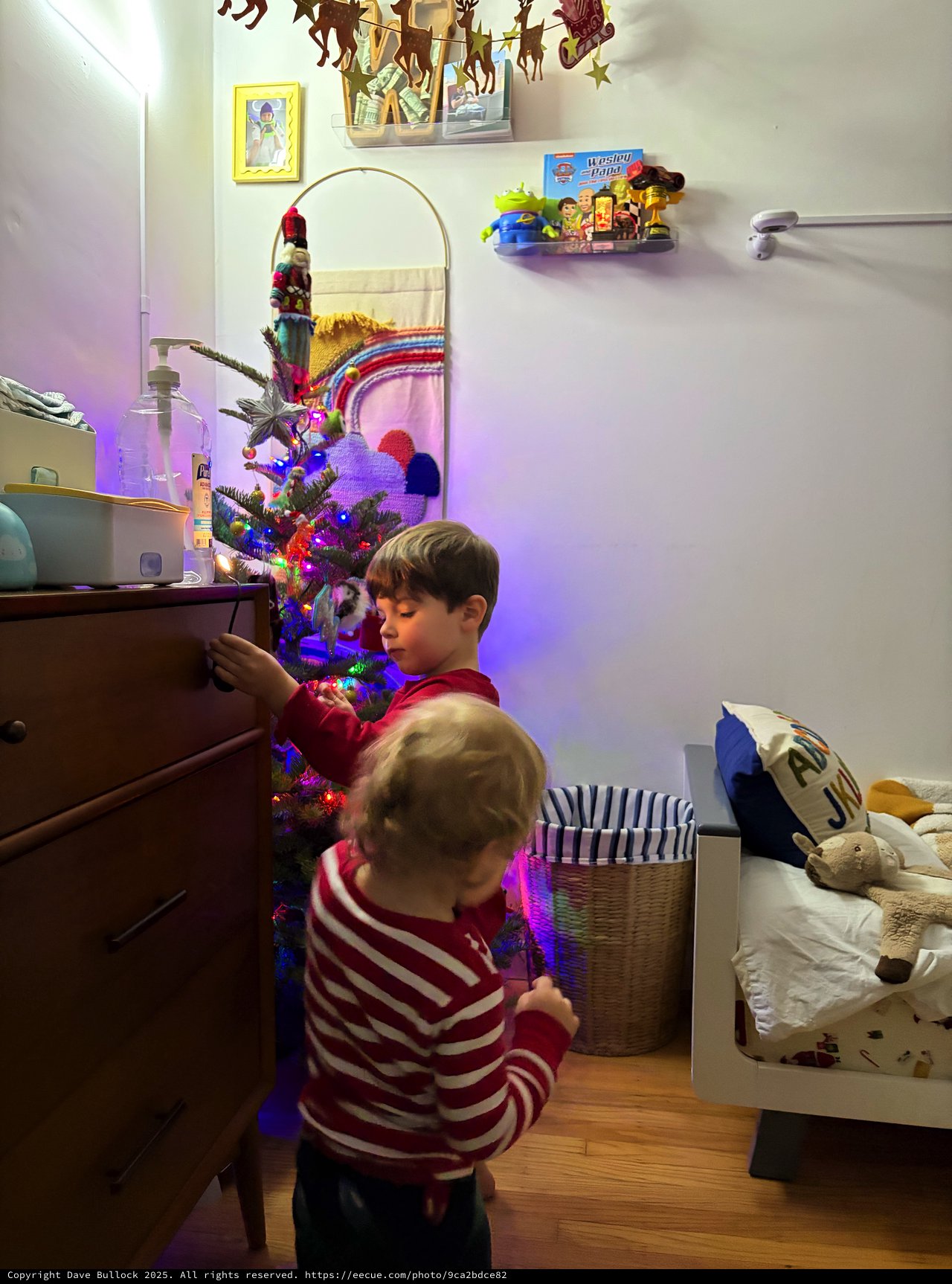 Two Brothers Admiring Their Decorated Christmas Tree