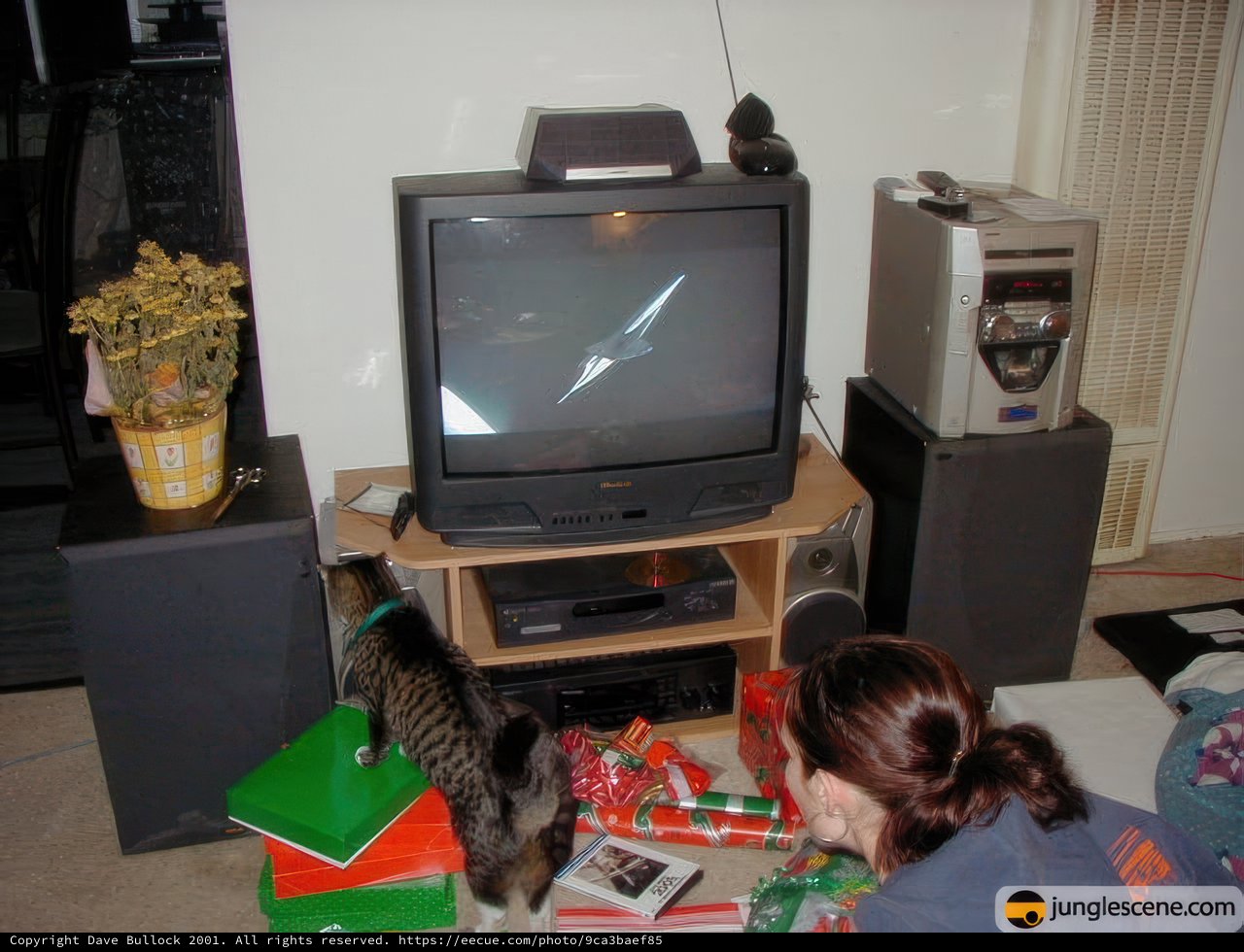 The Christmas Cat Watch Party