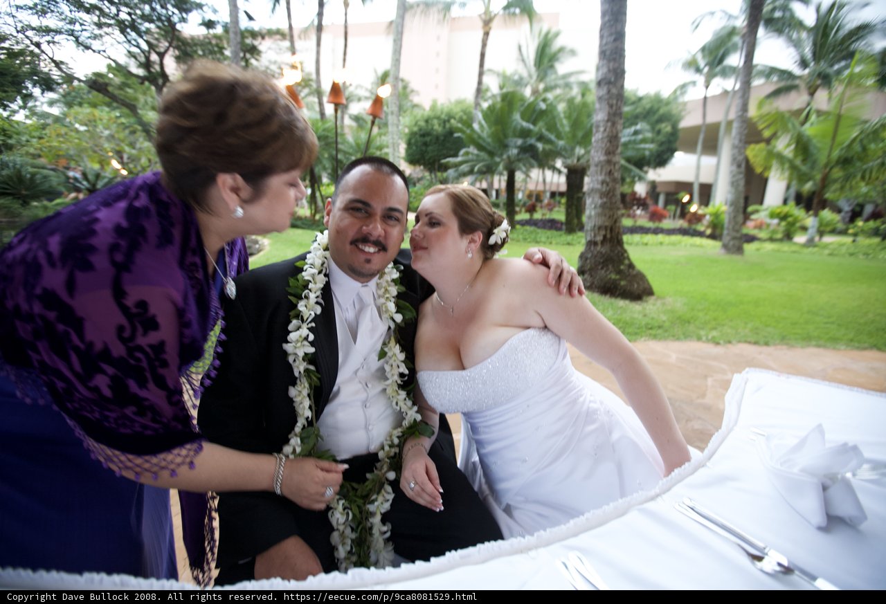Hawaii Wedding Bliss