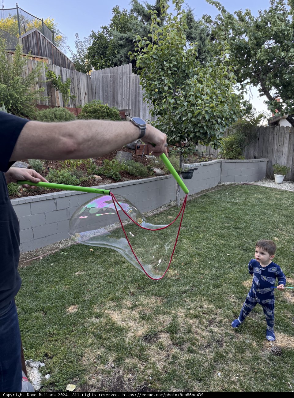 Summer Bubble Magic
