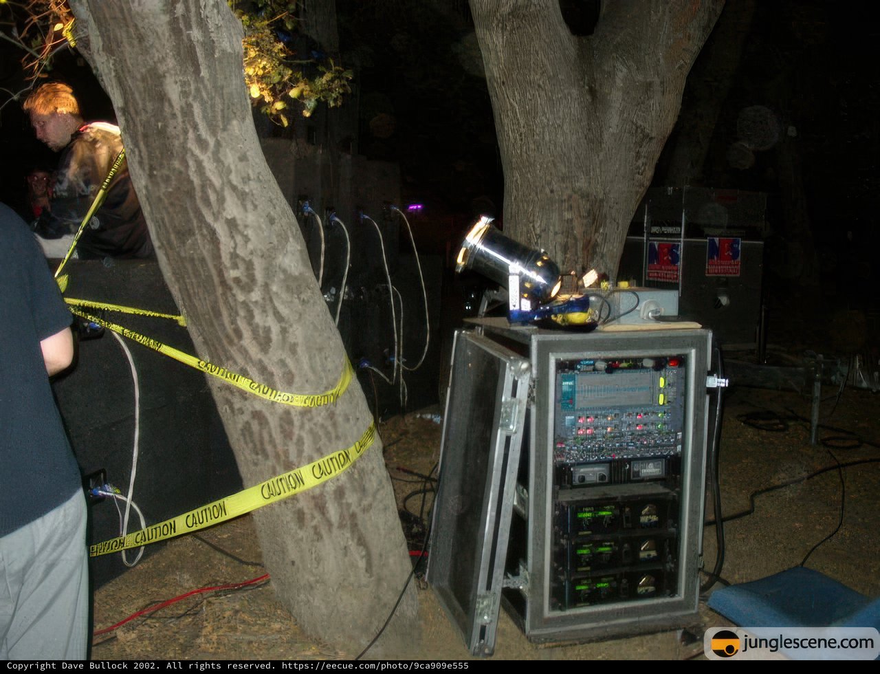Tree-cord Connection