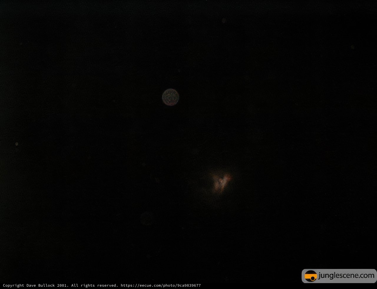 Midnight Moon