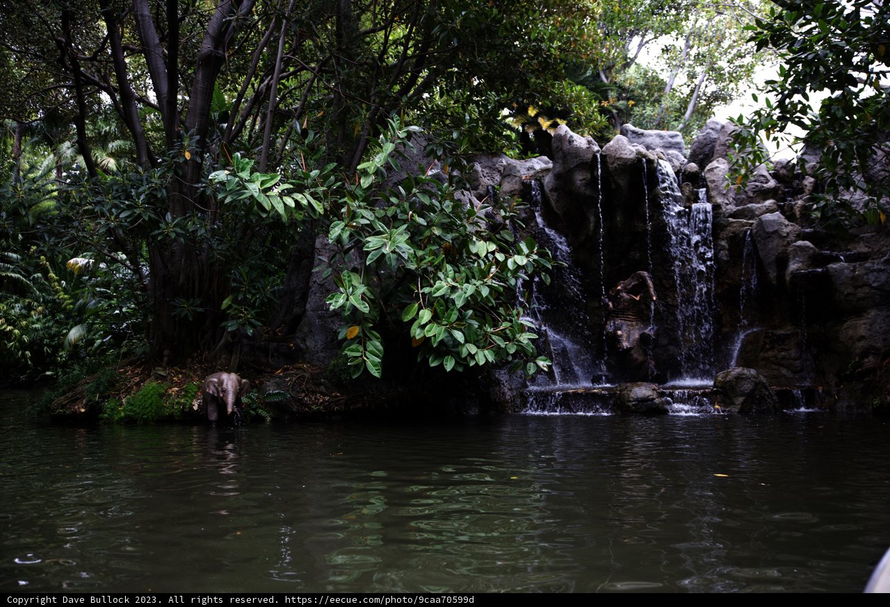 Hidden Jungle Paradise