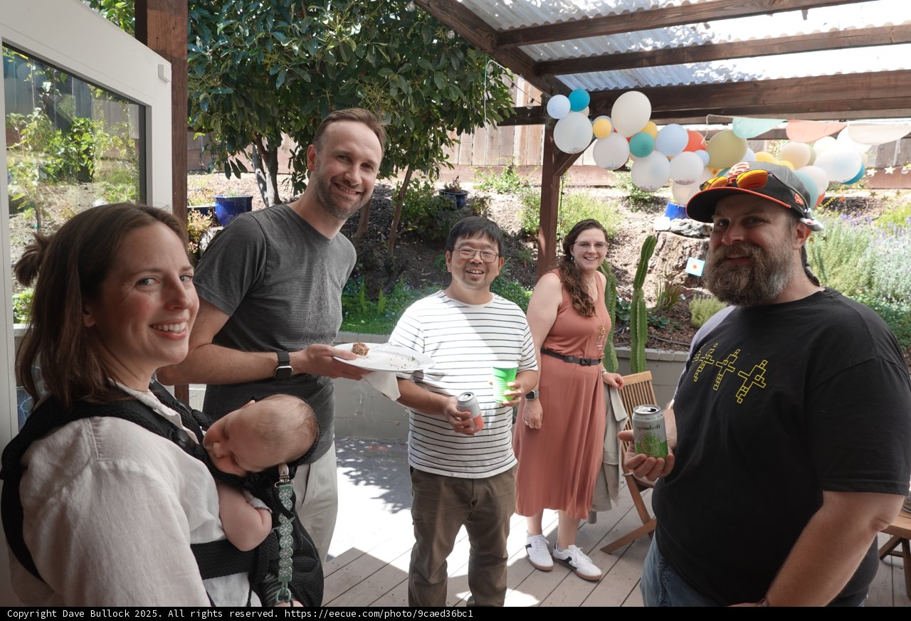 Backyard Gathering Bliss