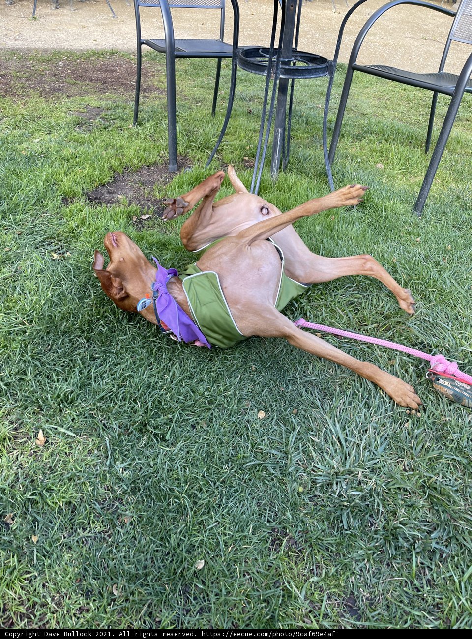 Lazy Days in the Sun