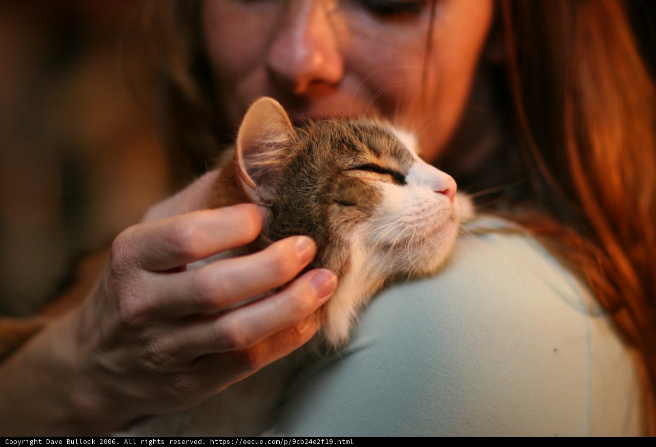 Woman Cuddles Her Beloved Abyssinian Cat