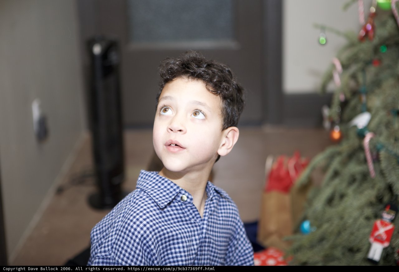 The Magic of Christmas