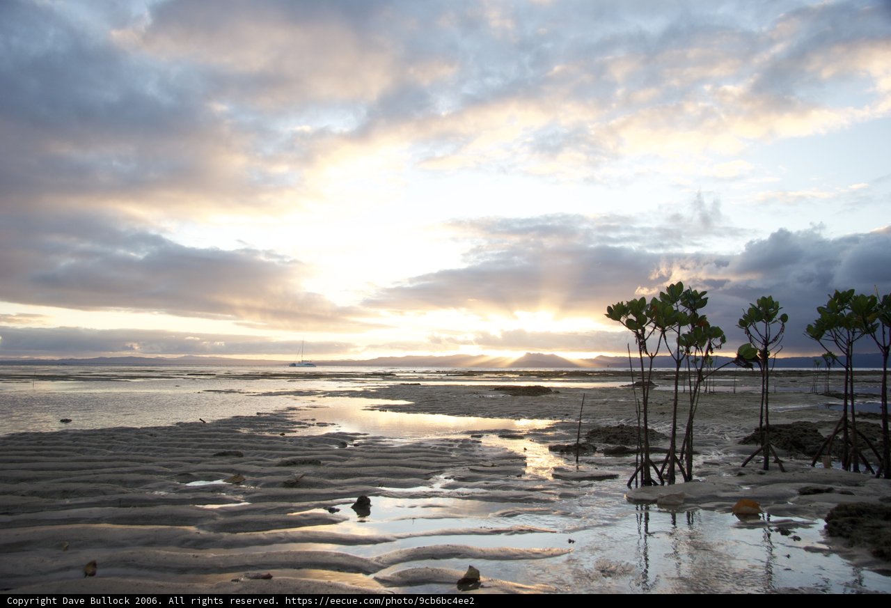 Sunset Paradise