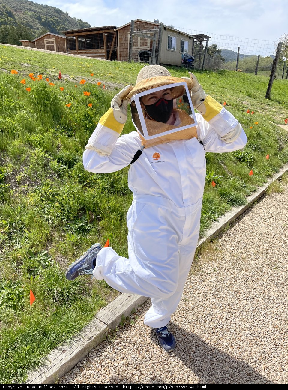 Beekeeping Jumping Joy