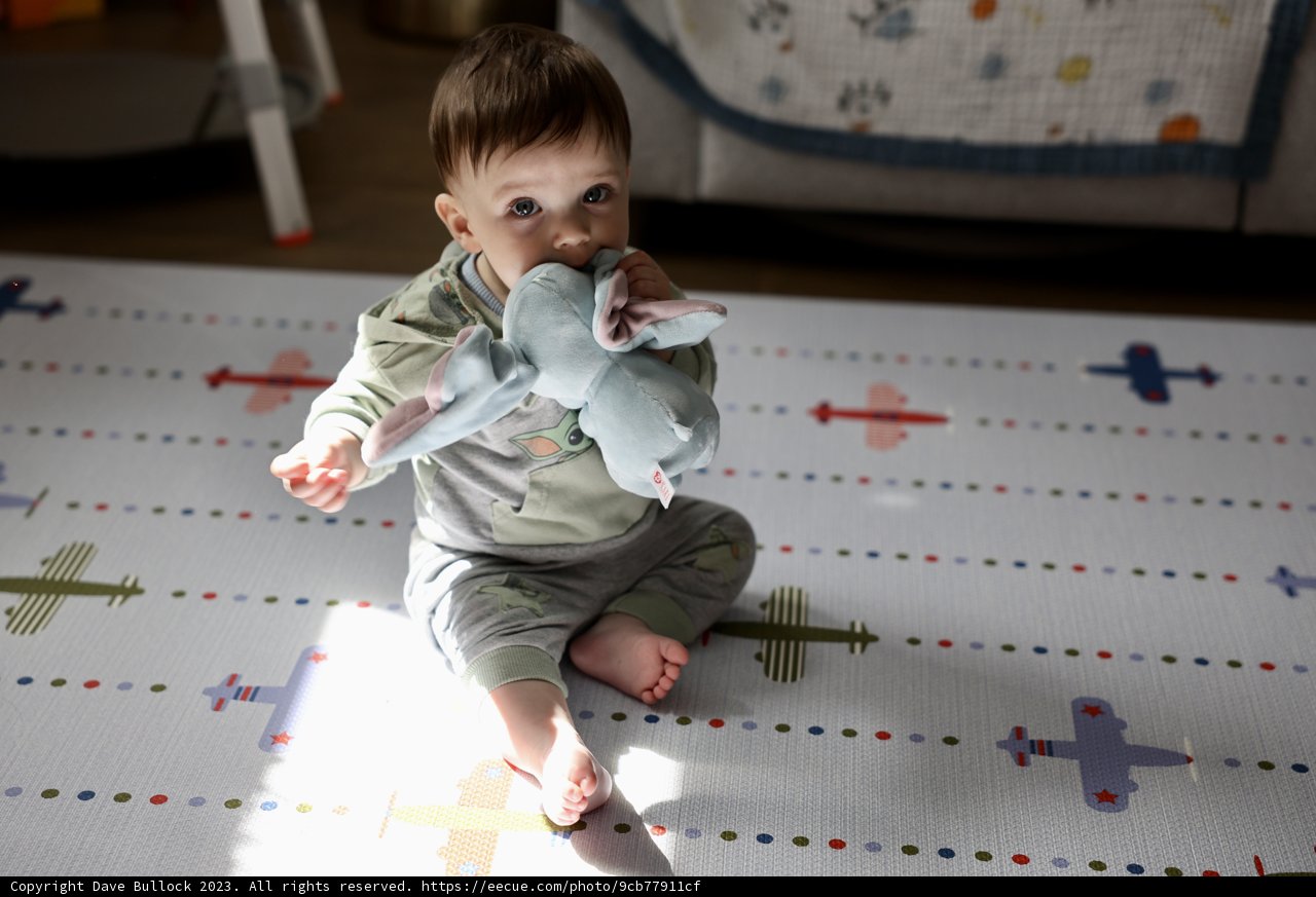 Little One and Fluffy Friend