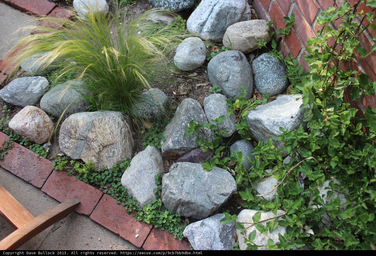 A Serene Oasis of Foliage and Rocks
