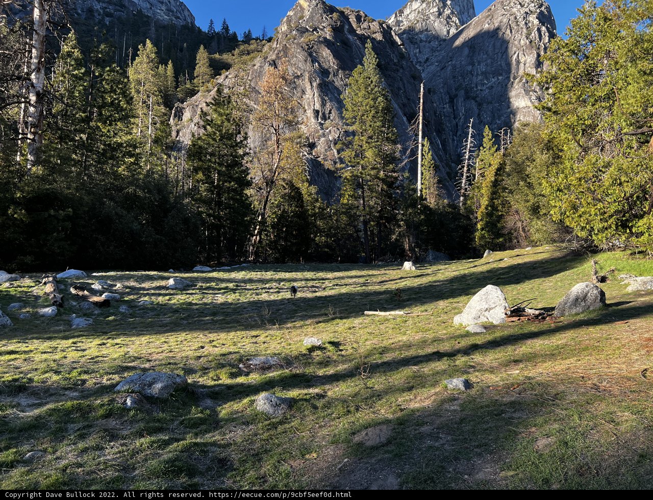 Majestic Mountain Landscape in Yosemite National Park
