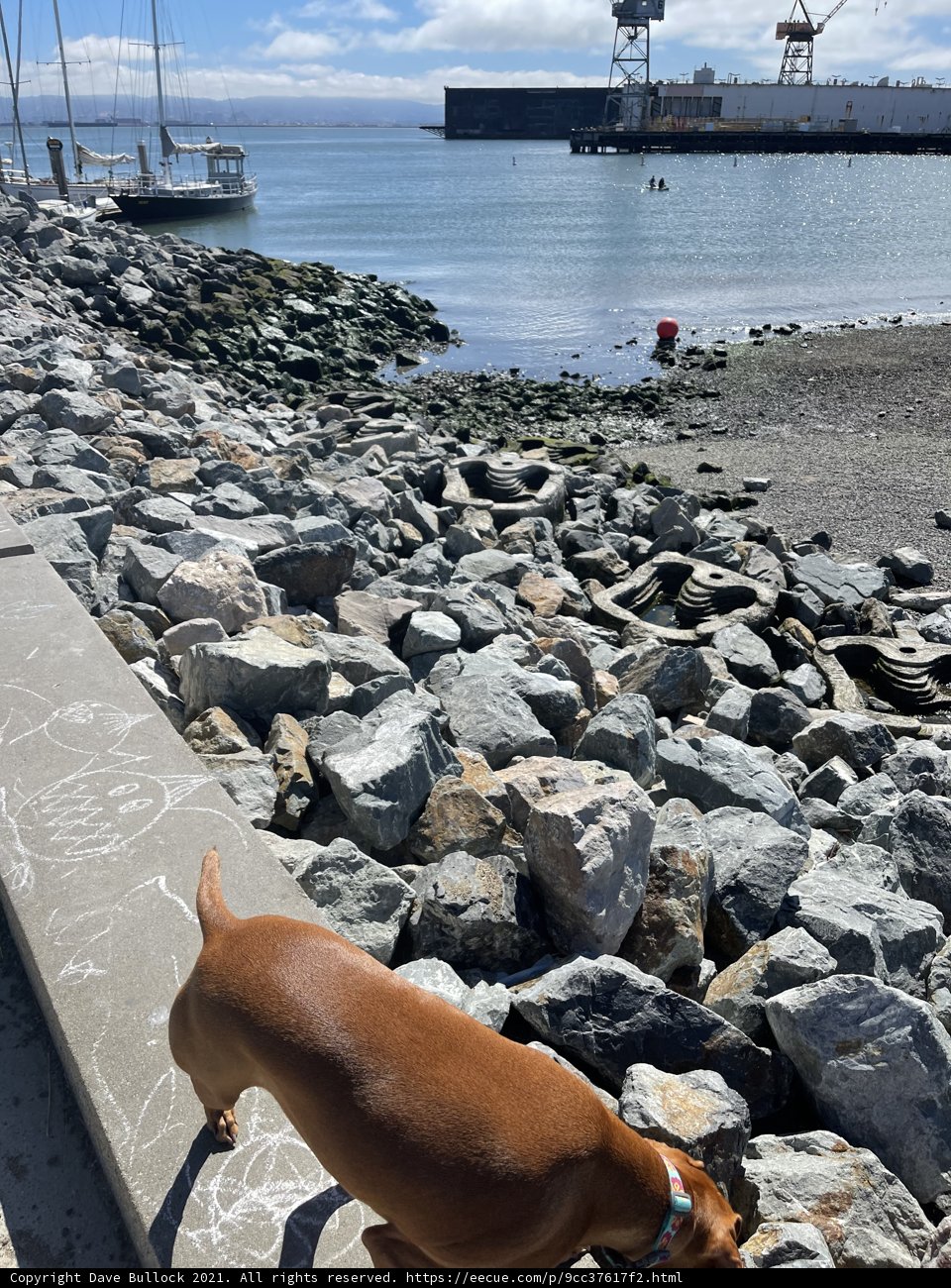 Rock Dog
