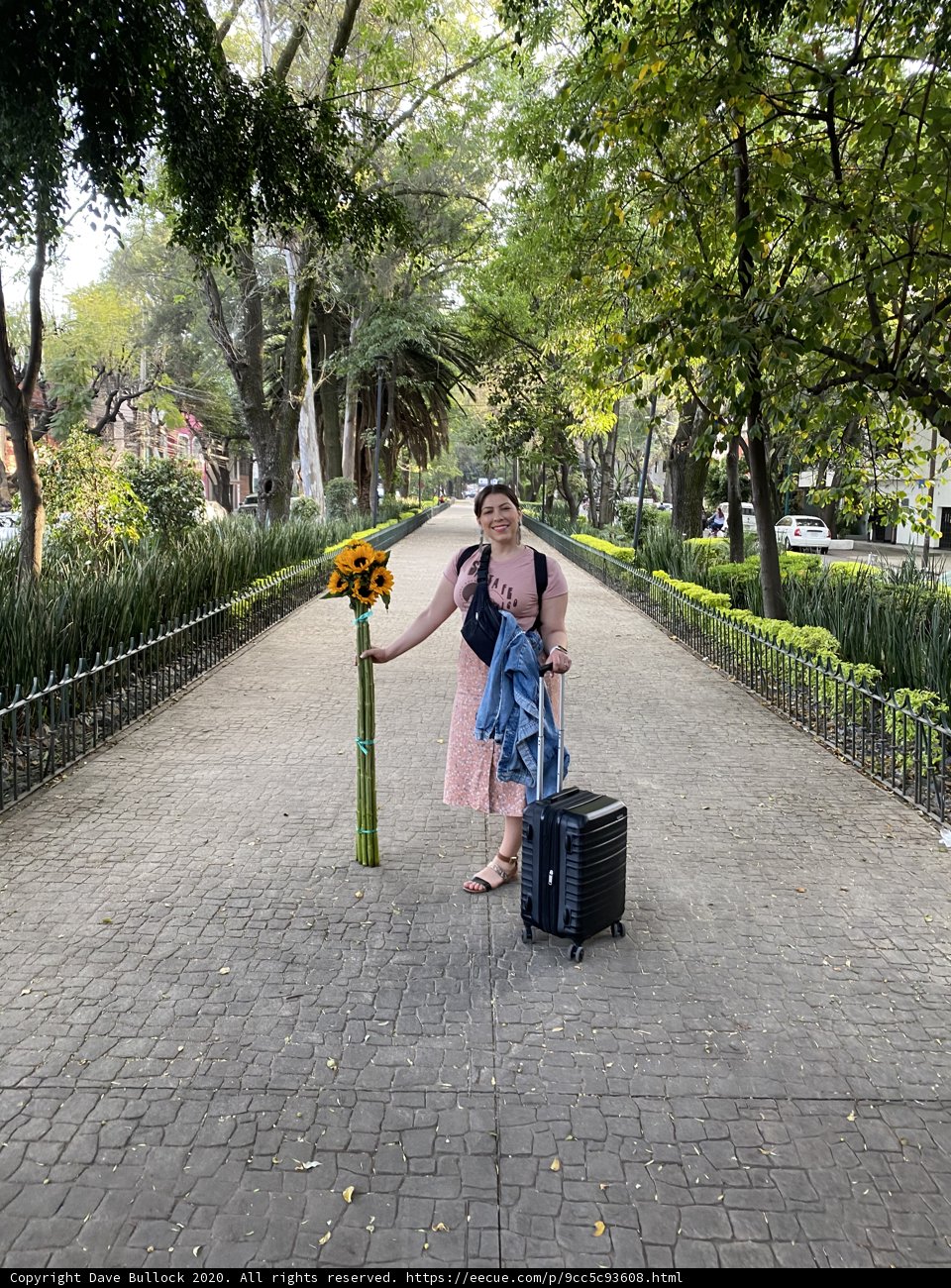 A Woman's Journey