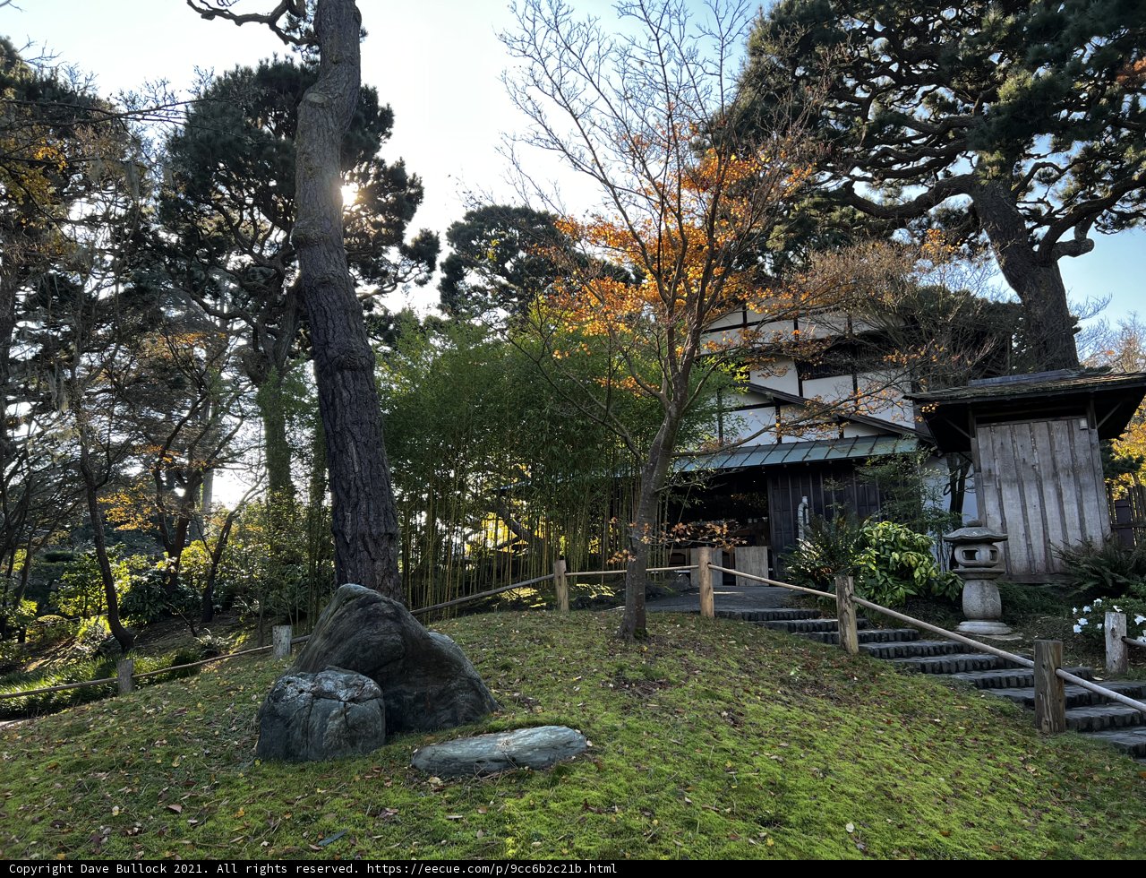 Cozy Hut Under the Tree