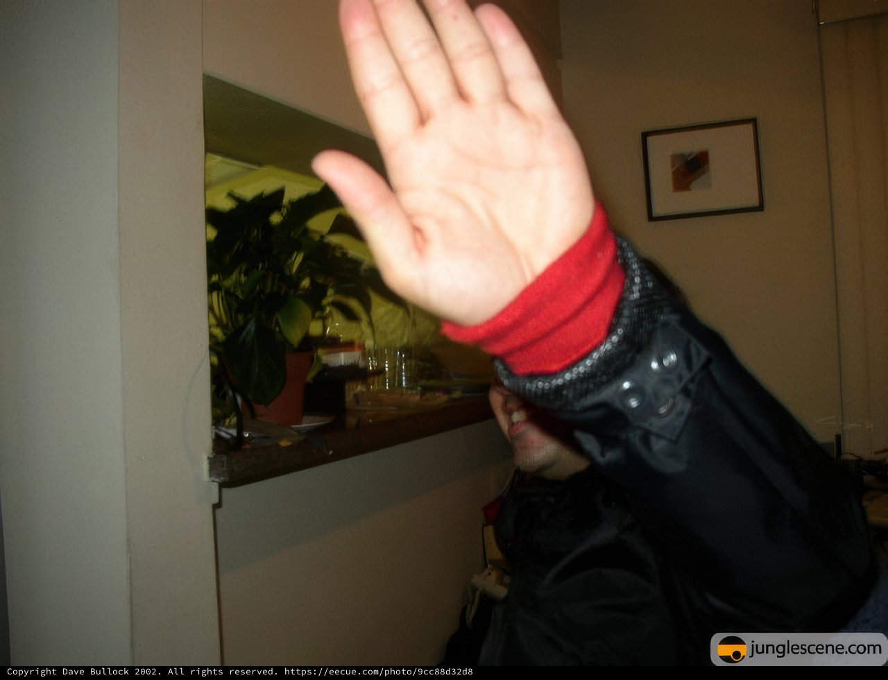 Hand Holding Up in Front of Decorative Plant and Painting