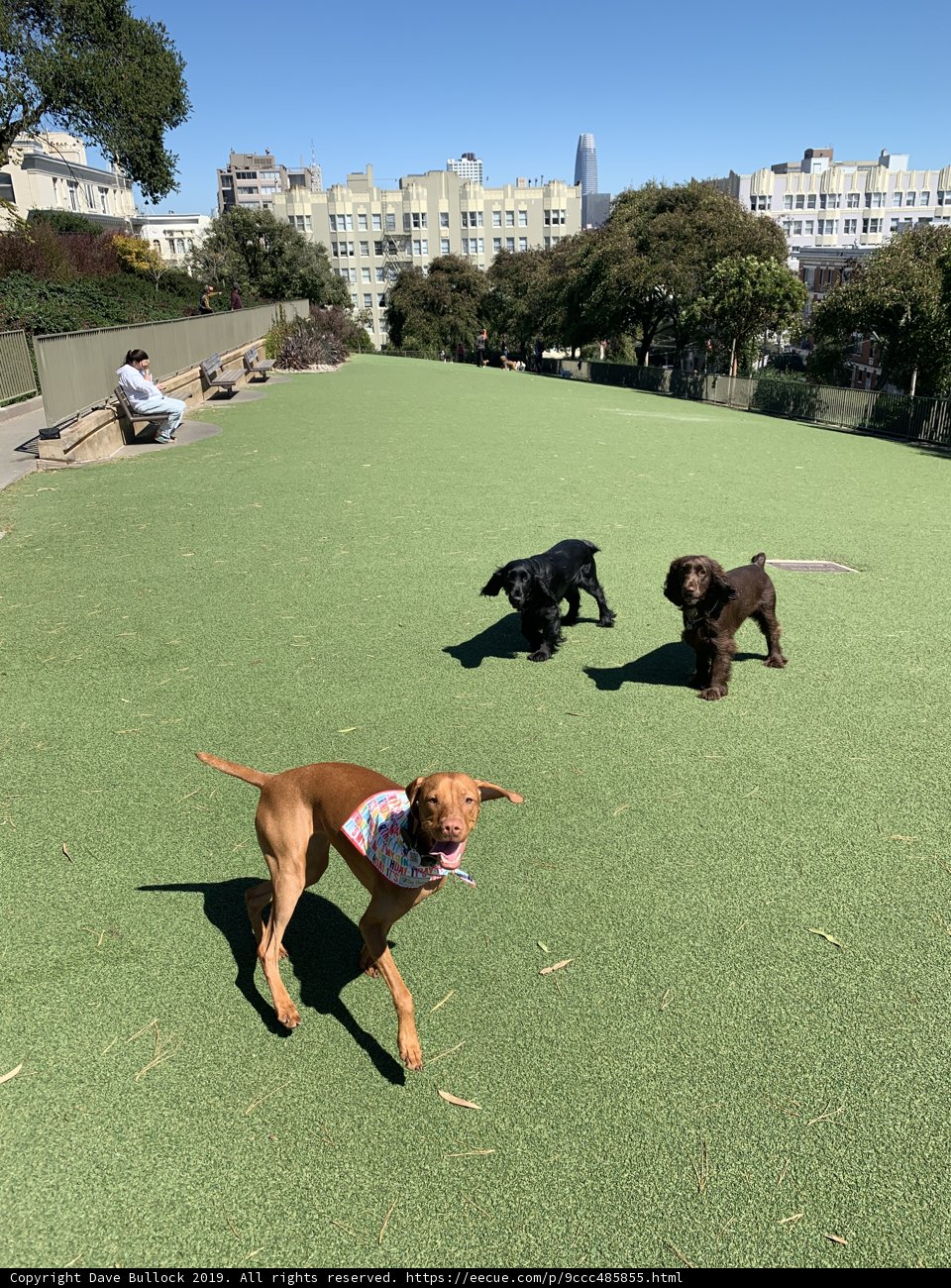 Playtime at the Park