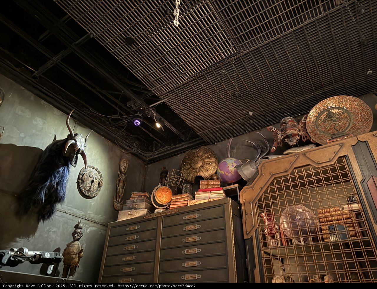 Mystical Curiosities