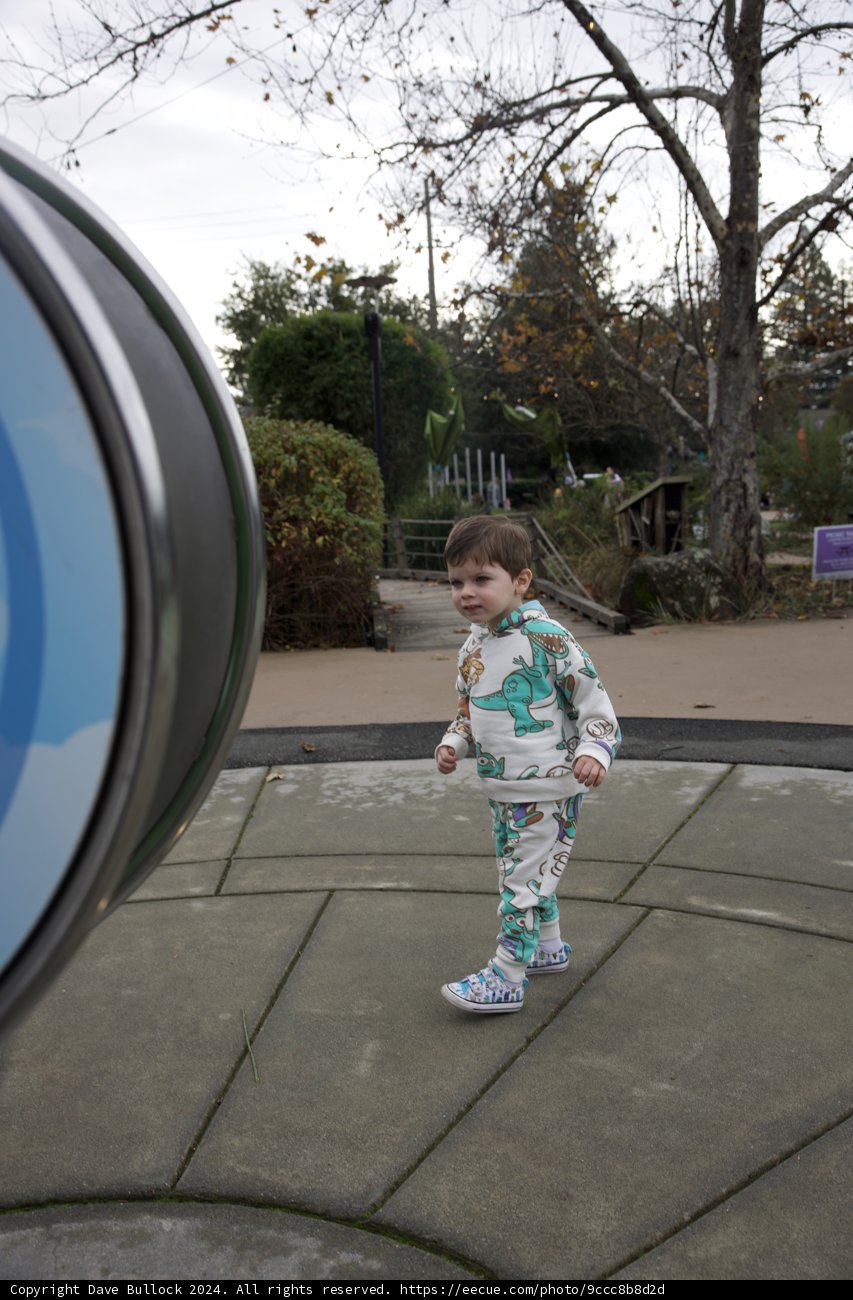 Exploring with Wonder