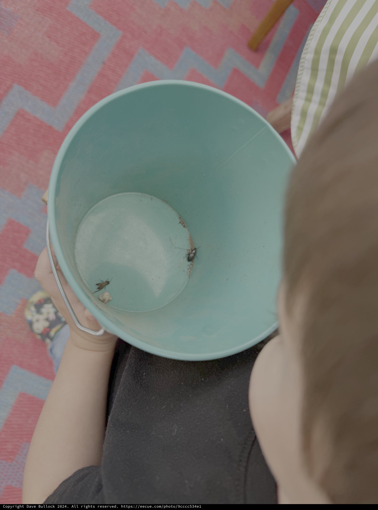 Person Holding Light Blue Bowl with Small Objects