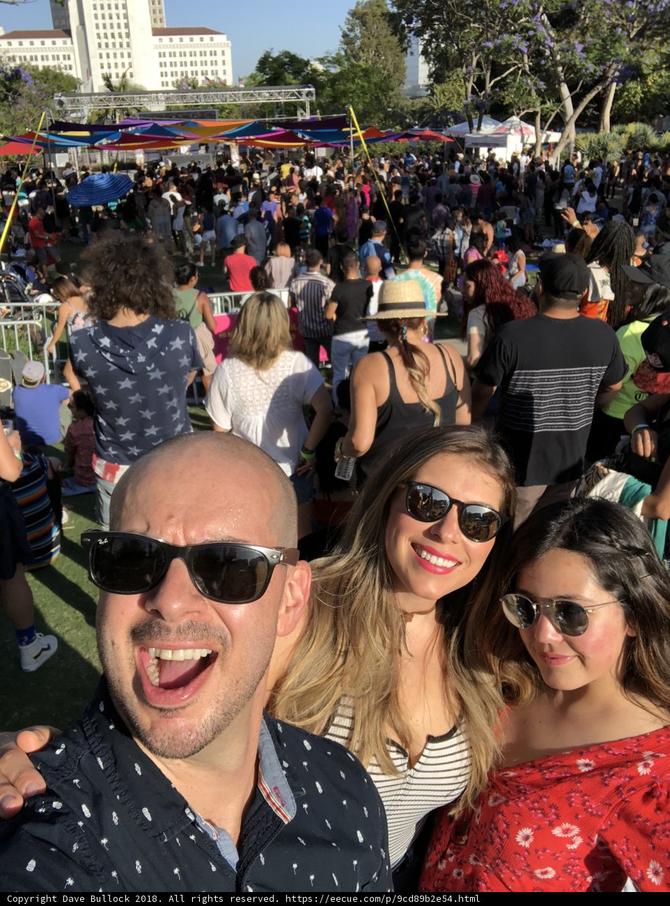 Selfie Fun in the Sun