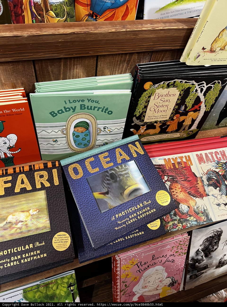 A Delightful Collection of Children's Books on the Shelf