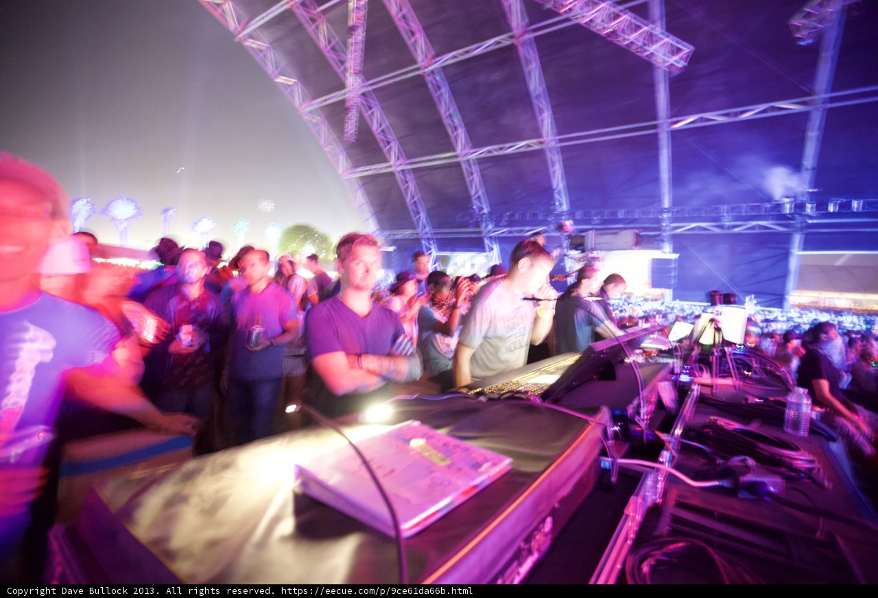 Coachella Nights