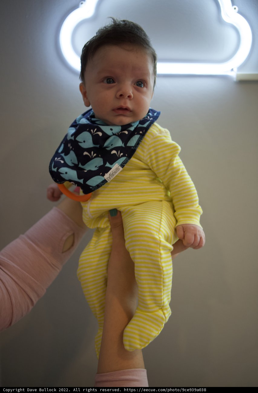 Neon Nights: Little Wesley's Style Statement