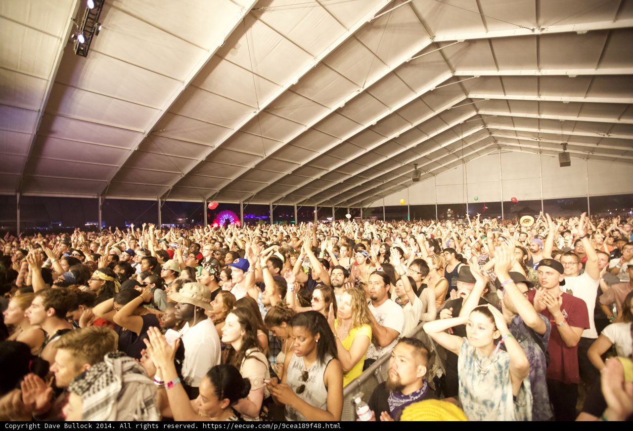 A Night of Music and Fun at Coachella