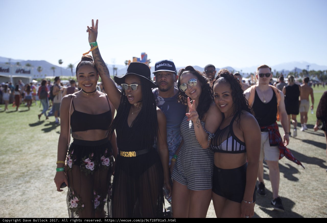 Music Festival Memories