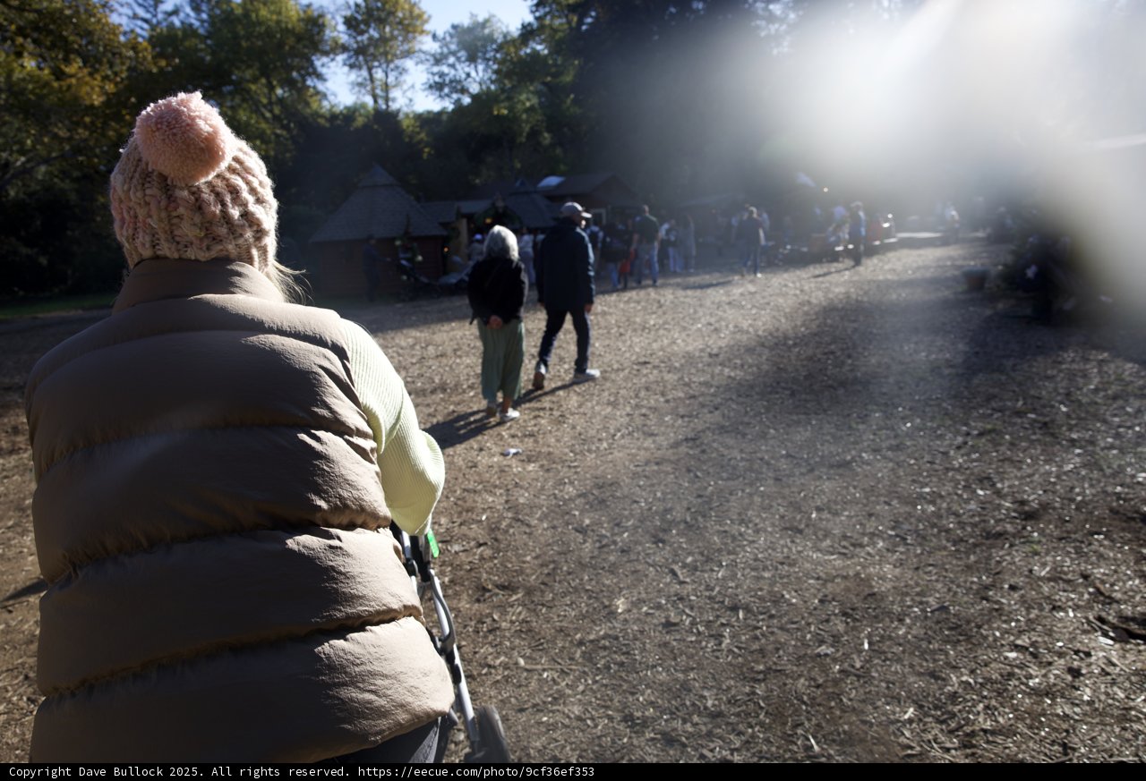Cozy Walk in Thistlewyck