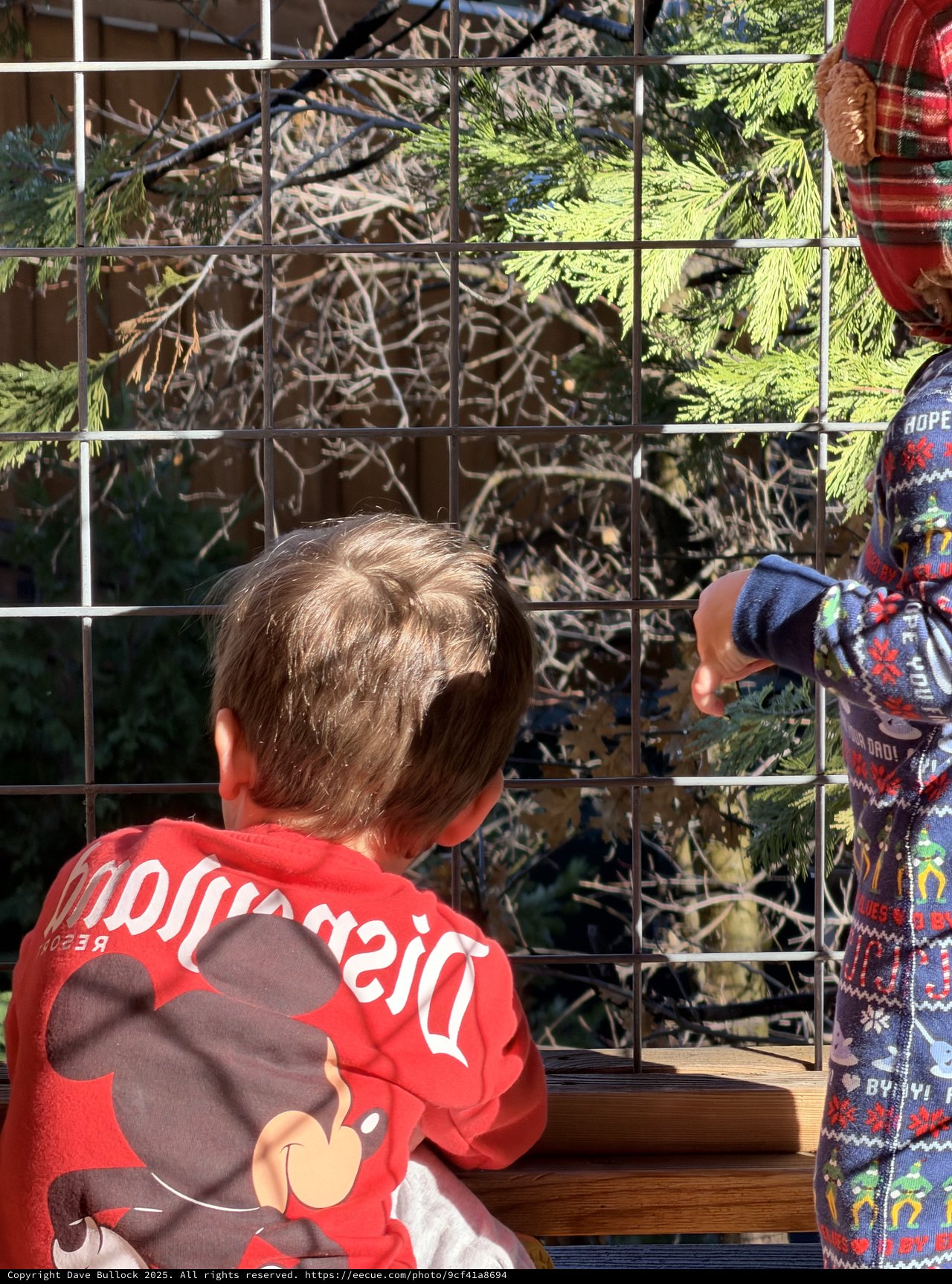 Children in Holiday Pajamas Gazing Through Metal Fence