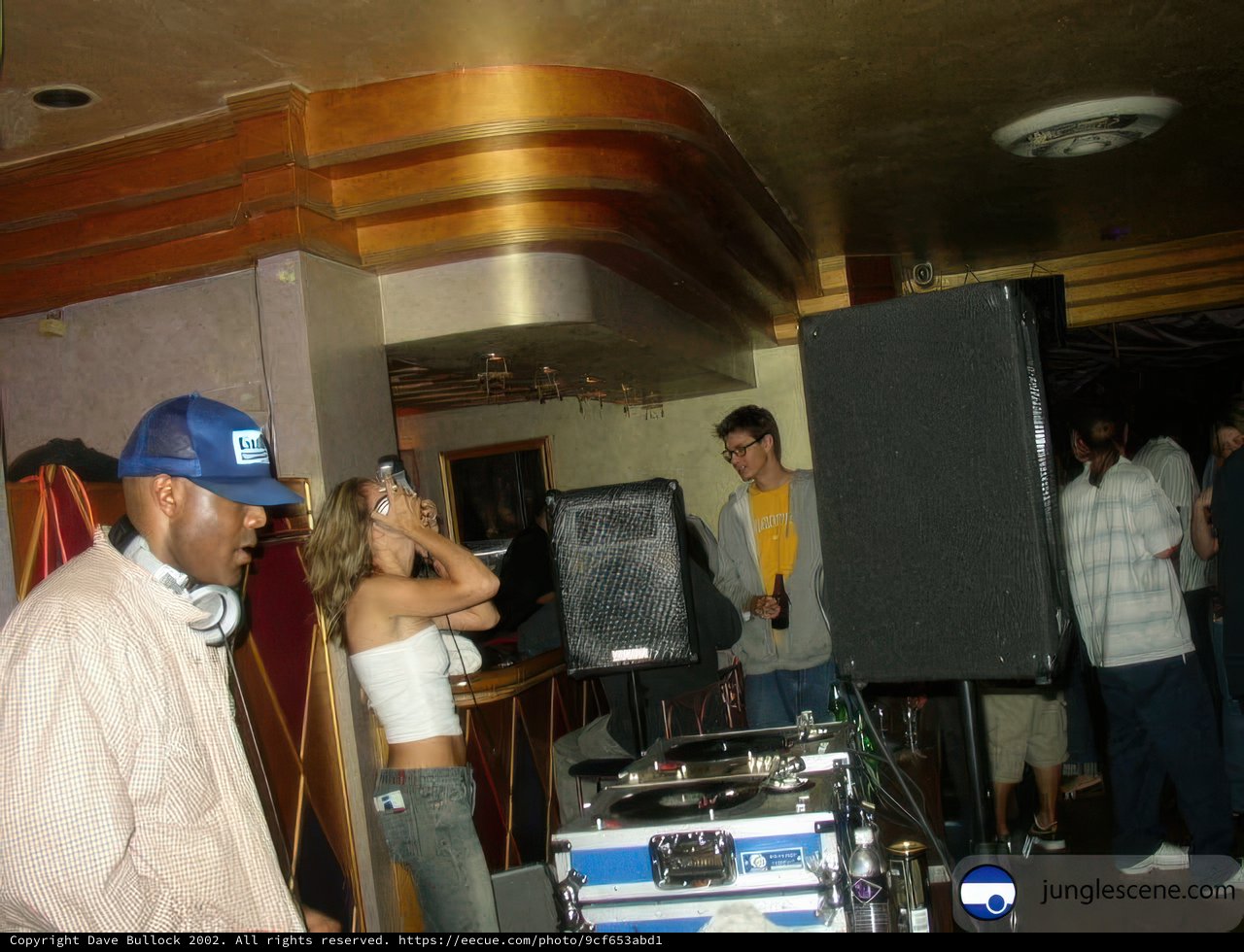 Party DJ and His Crowd