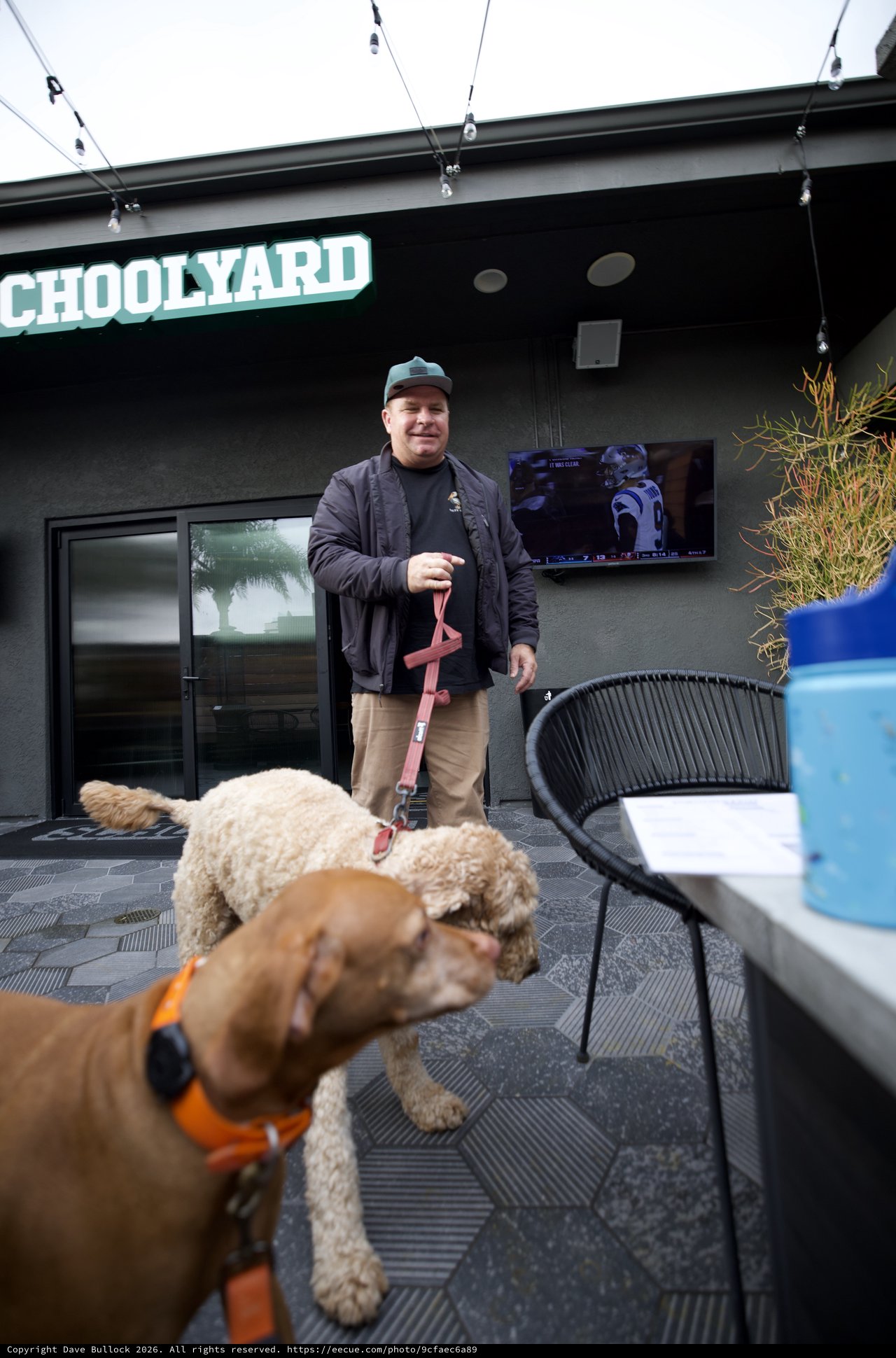Dog-Friendly Patio Gathering at Schoolyard Bar