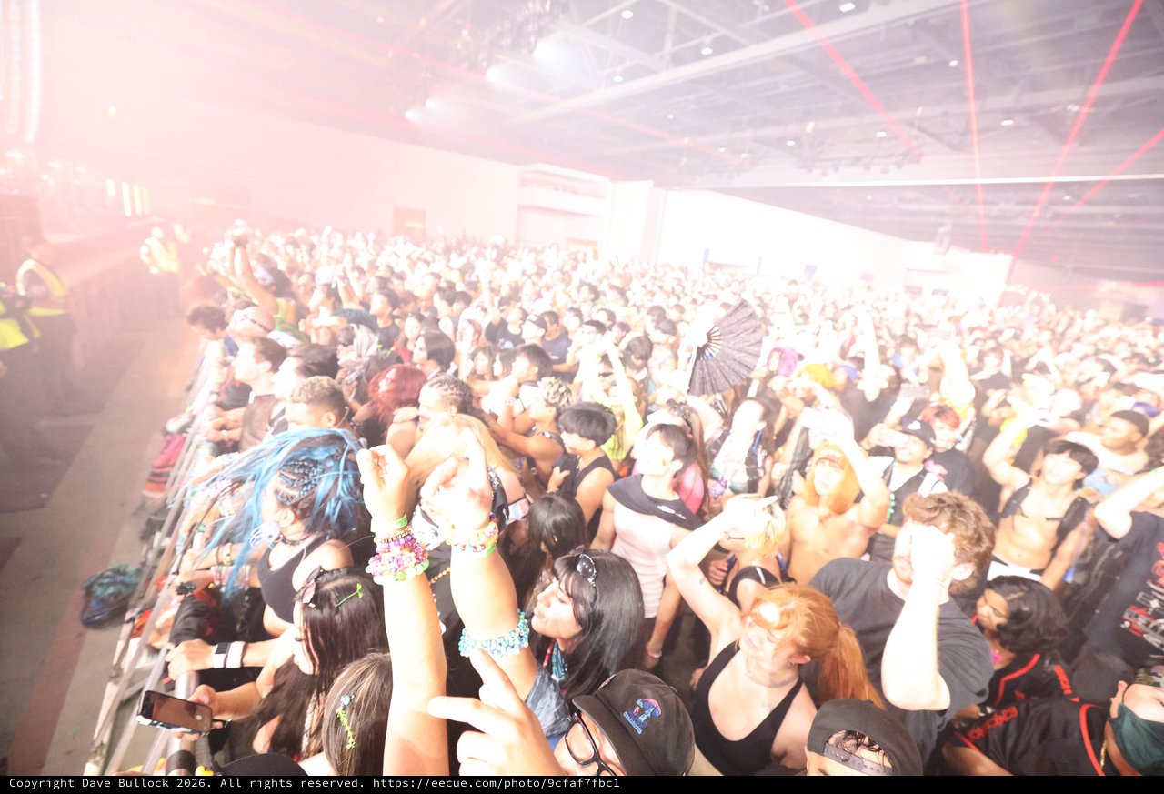 Massive EDM Crowd Erupts at Wobbleland 2026