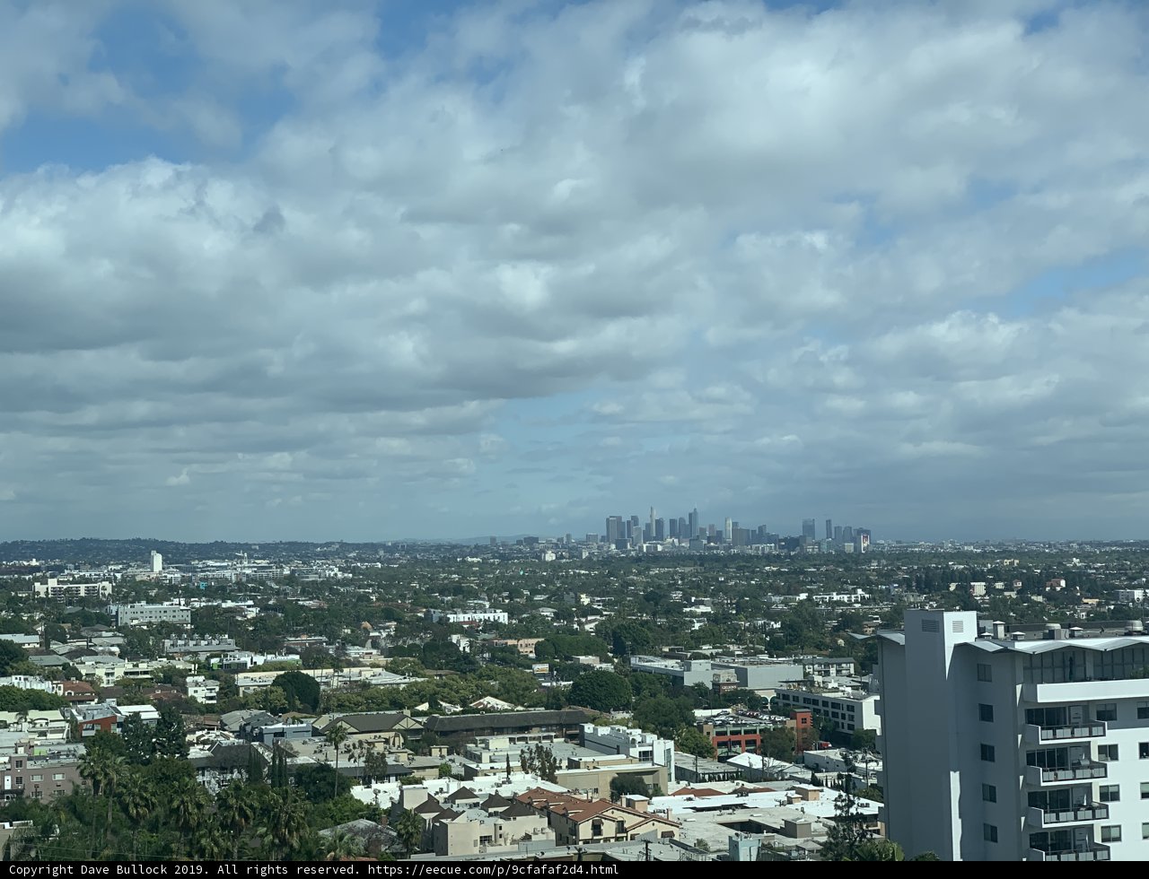 Skyline Oasis