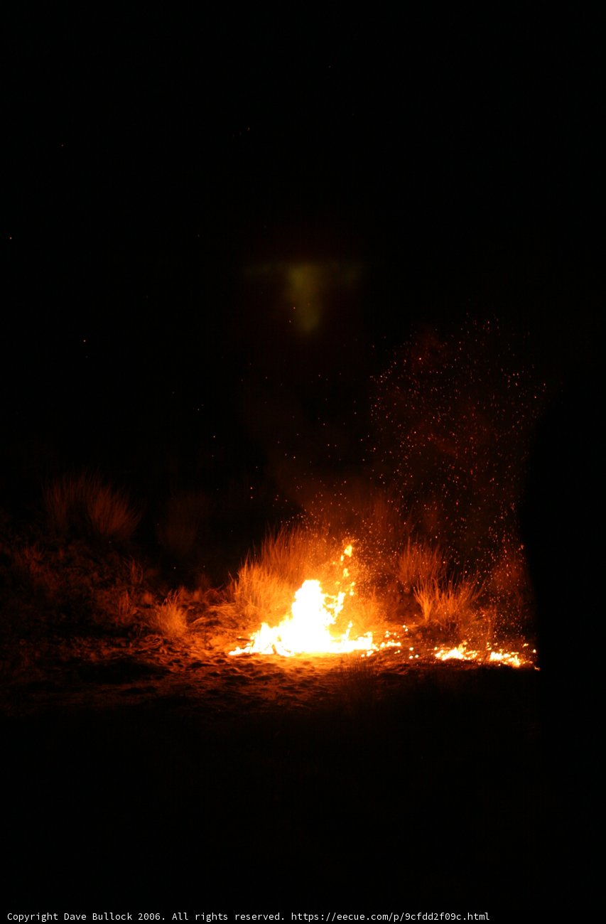 Dancing Flames in the Desert Night