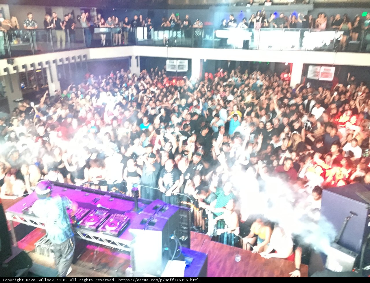 Nightclub Excitement