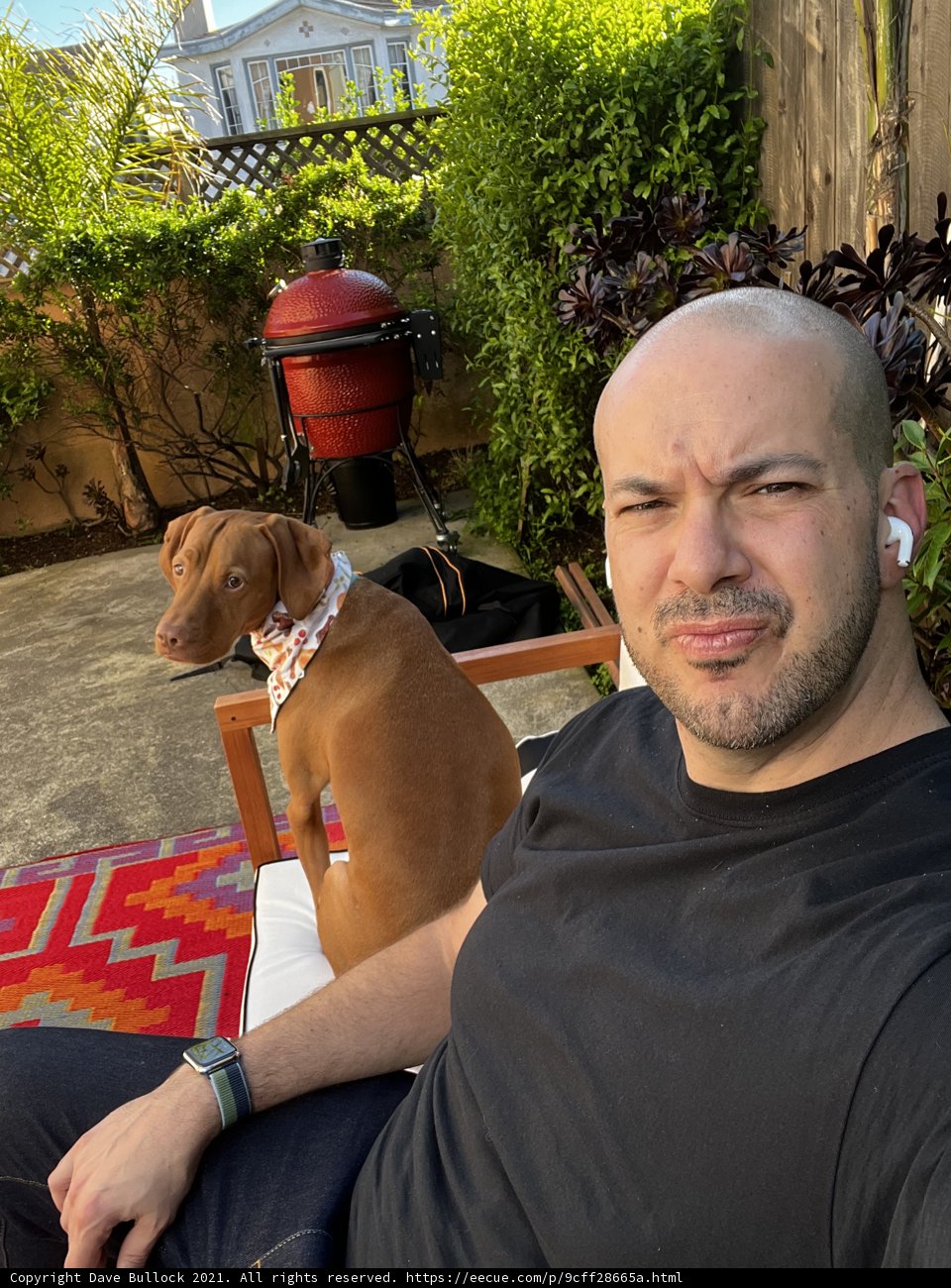 Man's Best Friend