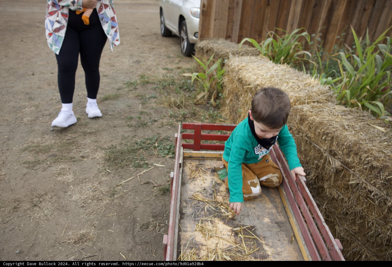 Exploring the Hay Wagons